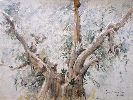 Olivos y otros árboles Olivos y otros árboles