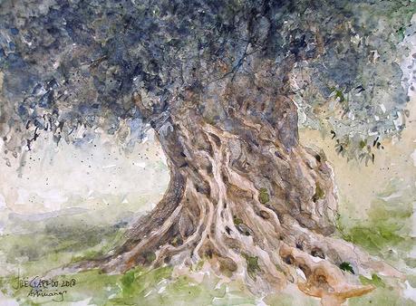 Olivos y otros árboles Olivos y otros árboles