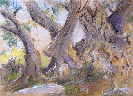 Olivos y otros árboles Olivos y otros árboles