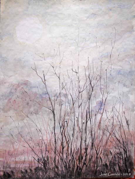 Olivos y otros árboles Olivos y otros árboles