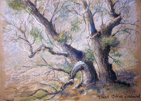 Olivos y otros árboles Olivos y otros árboles