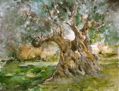 Olivos y otros árboles Olivos y otros árboles