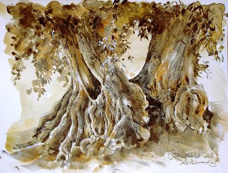 Olivos y otros árboles Olivos y otros árboles