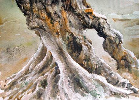 Olivos y otros árboles