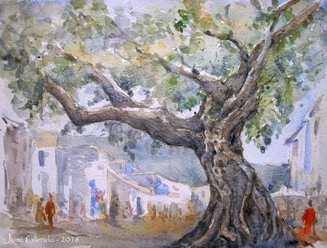 Olivos y otros árboles Olivos y otros árboles