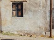 alma calles