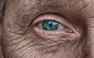 Científicos de la Universidad de Newcastle usan impresora 3D para crear córneas artificiales. Científicos de la Universidad de Newcastle usan impresora 3D para crear córneas artificiales.