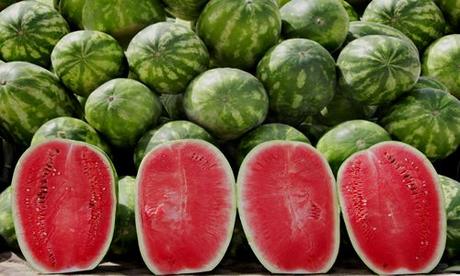 Fruta Sandías y sus Beneficios fotos planta sandia fruto