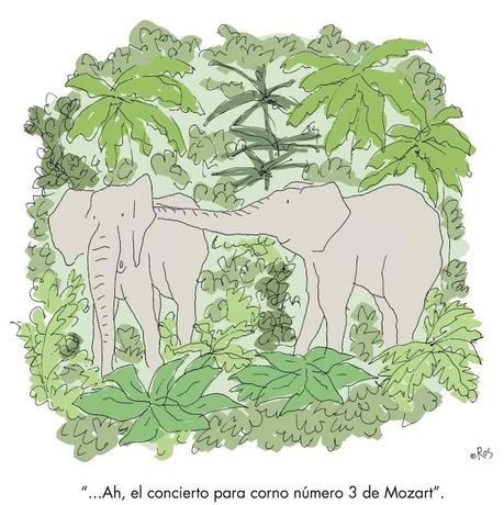 [HUMOR EN CÁPSULAS] Para hoy martes, 31 de julio