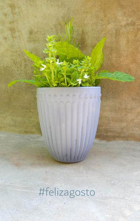 El vaso y agosto.