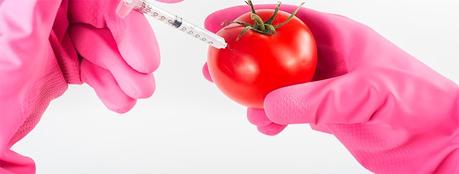 Ejemplos de alimentos transgénicos