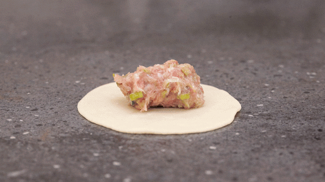 Dumplings chinos de cerdo Dumplings chinos de cerdo