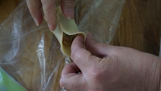 Dumplings chinos de cerdo Dumplings chinos de cerdo