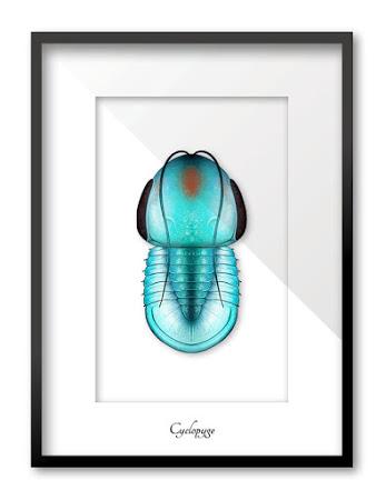 El colorido mundo de los trilobites de Franz Anthony El colorido mundo de los trilobites de Franz Anthony