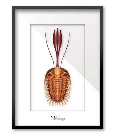 El colorido mundo de los trilobites de Franz Anthony El colorido mundo de los trilobites de Franz Anthony