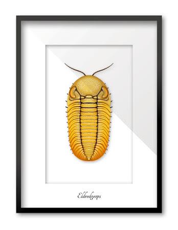 El colorido mundo de los trilobites de Franz Anthony El colorido mundo de los trilobites de Franz Anthony