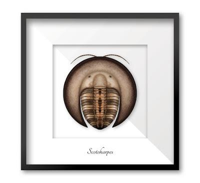 El colorido mundo de los trilobites de Franz Anthony El colorido mundo de los trilobites de Franz Anthony