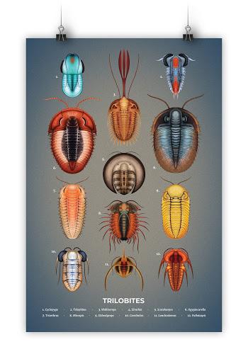 El colorido mundo de los trilobites de Franz Anthony
