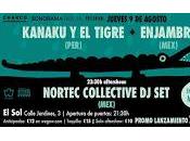 Concierto Kanaku Tigre Enjambre Sala