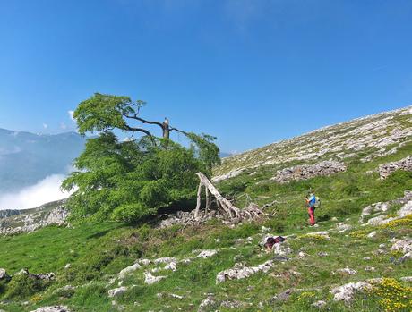 Peña Gradura por la Senda L'Gabitu y la Mucherina Peña Gradura por la Senda L'Gabitu y la Mucherina