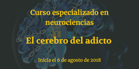 Curso online de neurociencias: el cerebro del adicto