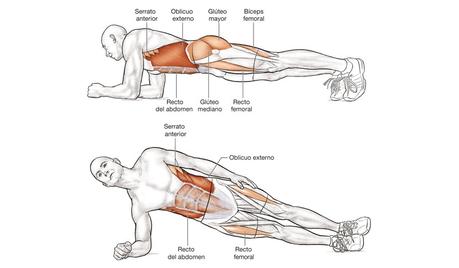 FORTALECIMIENTO ABDOMINAL: EL ÚLTIMO EJERCICIO DE FORTALECIMIENTO PARA UN VIENTRE PLANO