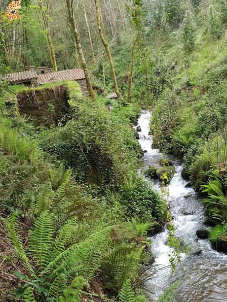 Senderismo por Coruña: Costa da Égoa - Carral