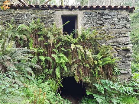 Senderismo por Coruña: Costa da Égoa - Carral