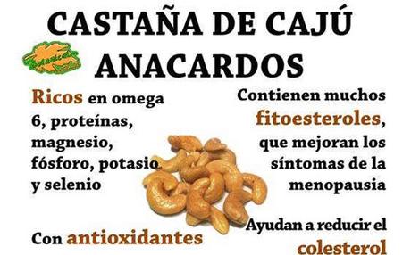 Beneficios de los frutos secos para la salud