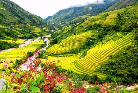 Descubrir la región montañosa del norte de Vietnam