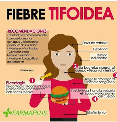 Fiebre tifoidea, que es la fiebre tifoidea, sintomas de la fiebre tifoidea, tratamiento de la fiebre tifoidea, tratamiento para la fiebre tifoidea, 