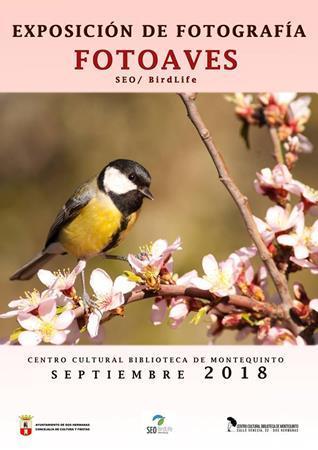 Exposición de Fotográfía: “FotoAves” – SEO/BirdLife