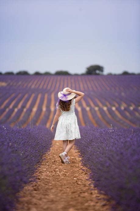 Gal meets lavender fields (OOTD)