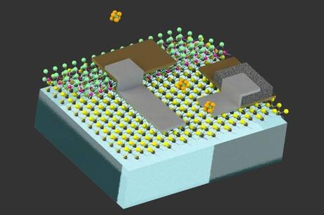 Robots del tamaño de células para patrullar por dentro de intestinos en personas vivas