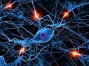 Cómo Señales Impulsan nuestro Comportamiento