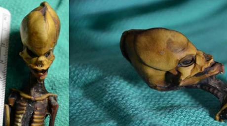 Nuevo estudio afirma que el feto de Atacama es normal y no fue mutado genéticamente