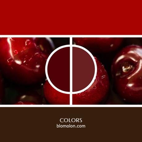 Variedad En Color 8 MoodBoard