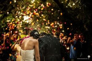 Las mejores fotos de boda del año _0001