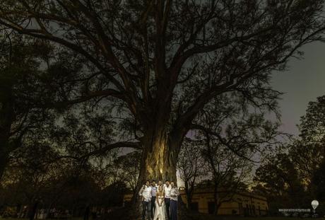 Las mejores fotos de boda del año _0007