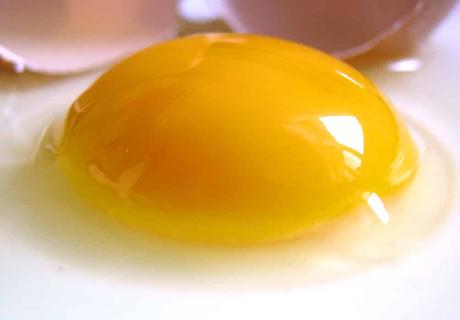 comer claras de huevo
