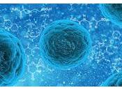 Encuentran Pista Clave sobre causa Infertilidad Femenina