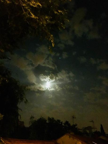 La imagen puede contener: cielo, noche, nubes, Ã¡rbol, exterior y naturaleza