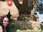 Budismo podrido Occidente