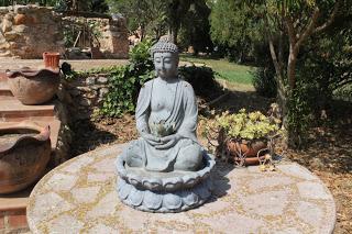 Budismo podrido en Occidente Budismo podrido en Occidente