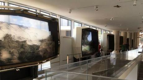 Israel es sede del museo de historia natural más grande del Medio Oriente