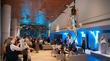 Israel es sede del museo de historia natural más grande del Medio Oriente