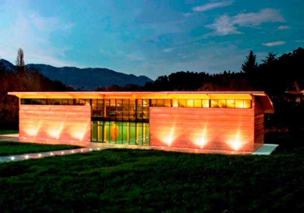 BODEGA DEL MES (Enero - 2010).-