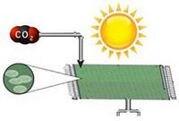Crear biocombustible a partir del CO2 y el sol