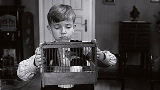 Películas: La cinta blanca