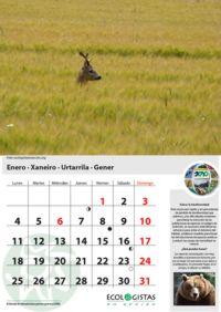 Calendario medioambiental del 2010
